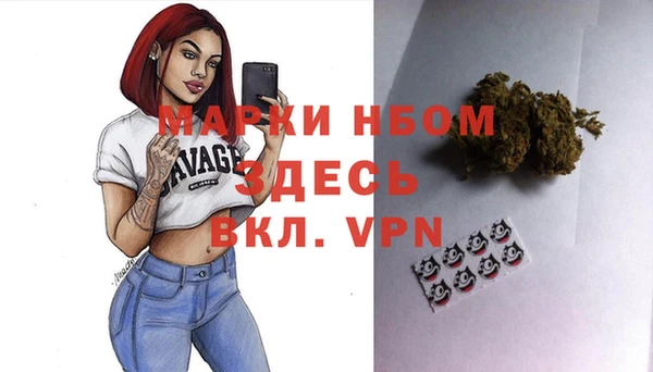 шишки Баксан