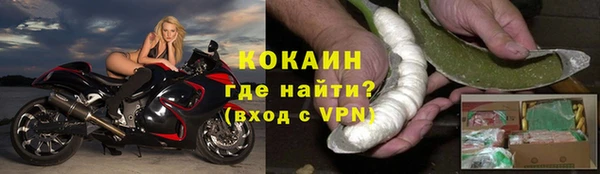 шишки Баксан