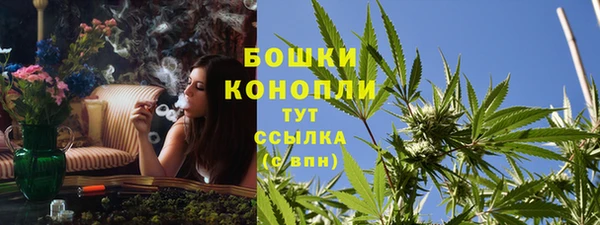 шишки Баксан