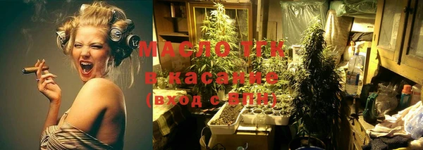 шишки Баксан