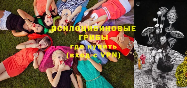 шишки Баксан