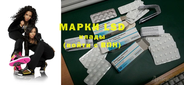 шишки Баксан