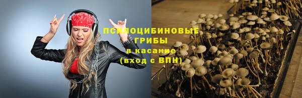 амф Балахна