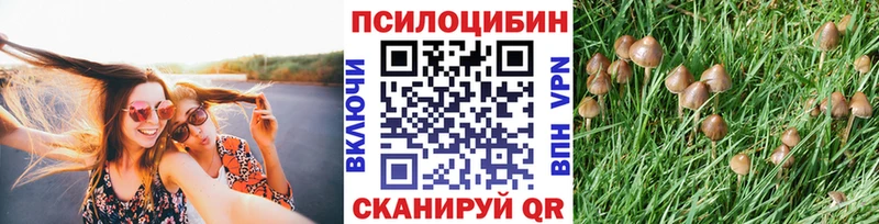 Галлюциногенные грибы ЛСД  Боровичи 